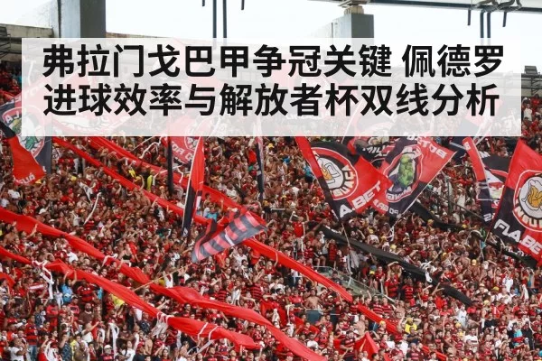 弗拉门戈巴甲争冠关键 佩德罗进球效率与解放者杯双线分析（NG28）